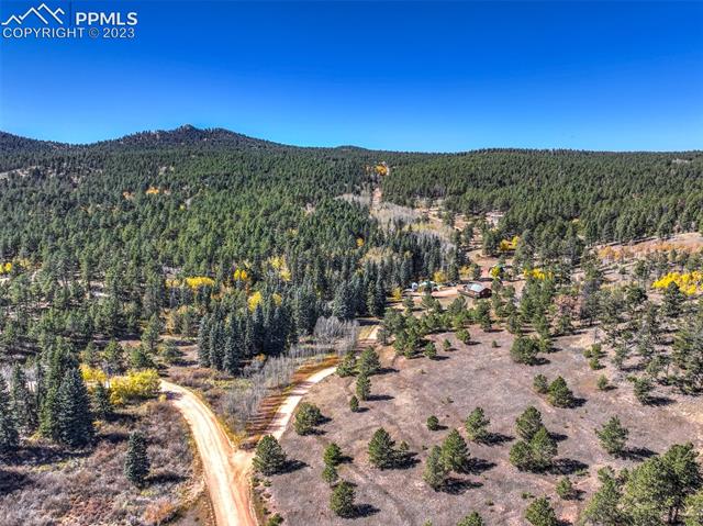 355 Gold Dust Creek Road