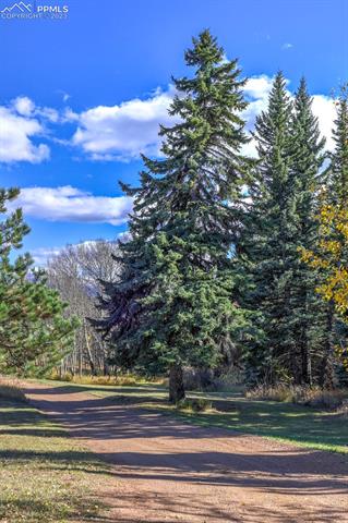 355 Gold Dust Creek Road