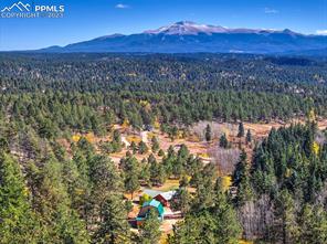 355 Gold Dust Creek Road
