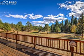 355 Gold Dust Creek Road