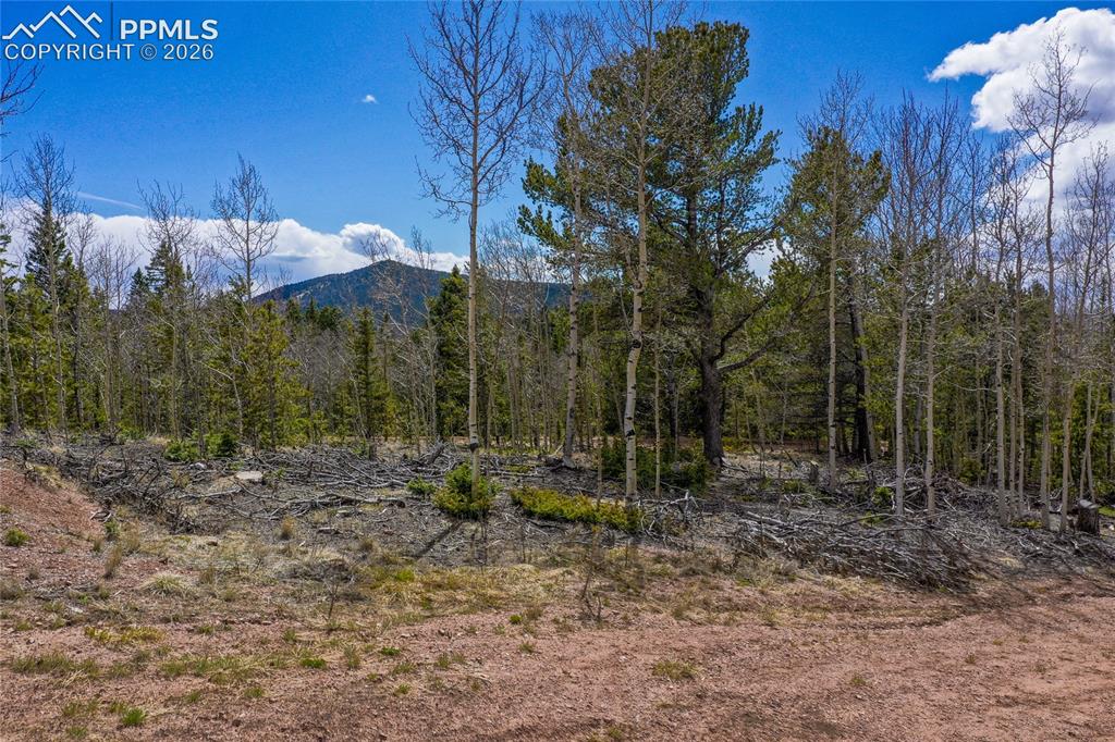 2747 County Road 61