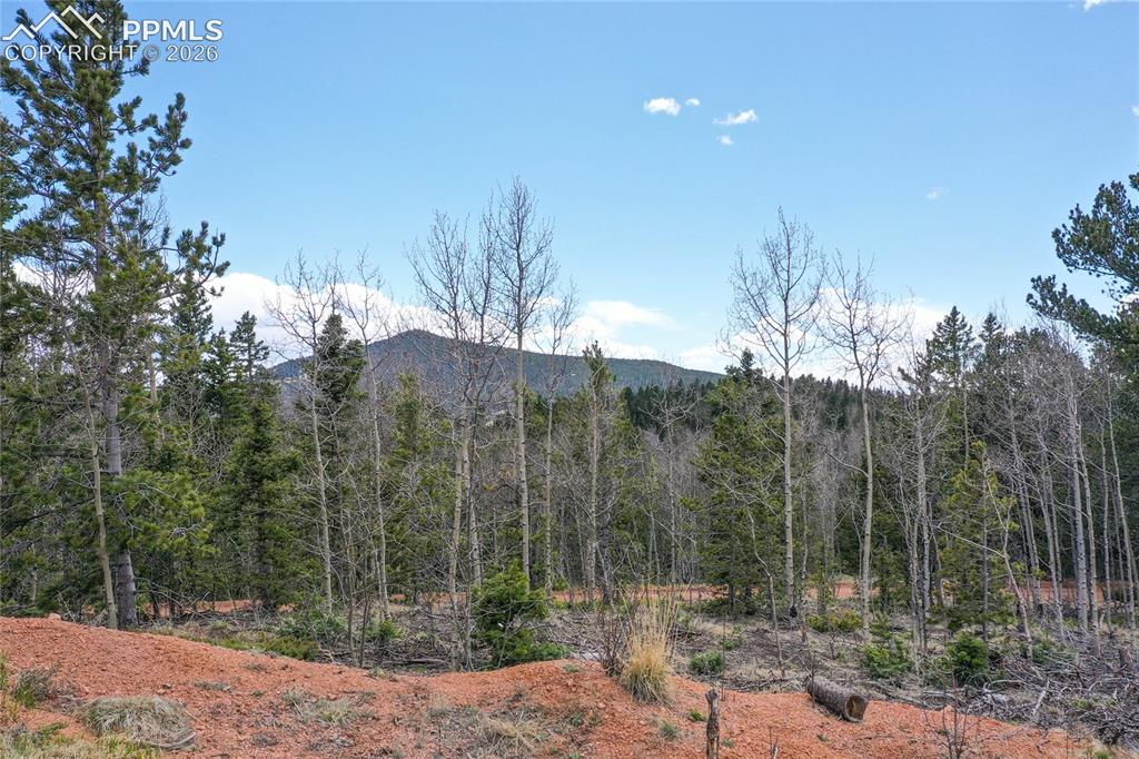 2747 County Road 61
