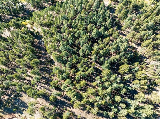 270 Thunder Ridge Drive