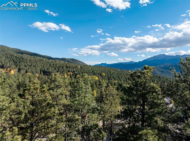 270 Thunder Ridge Drive