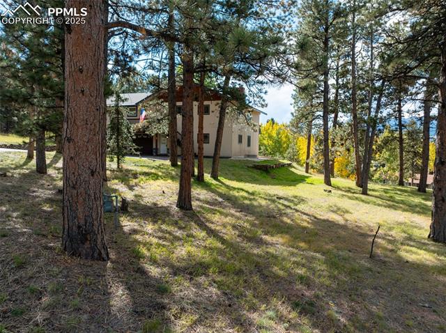 1051 Forest Hill Road