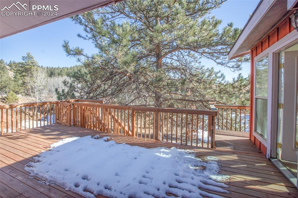 166 Ute Trail