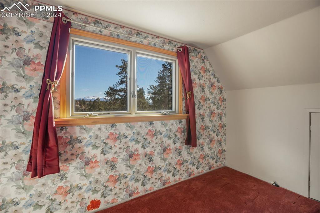 166 Ute Trail