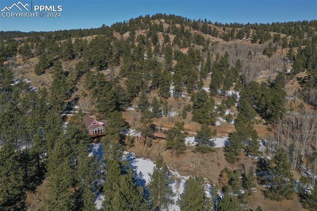 166 Ute Trail