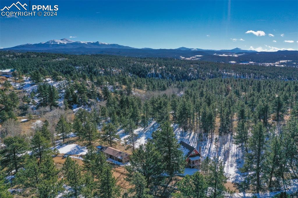 166 Ute Trail