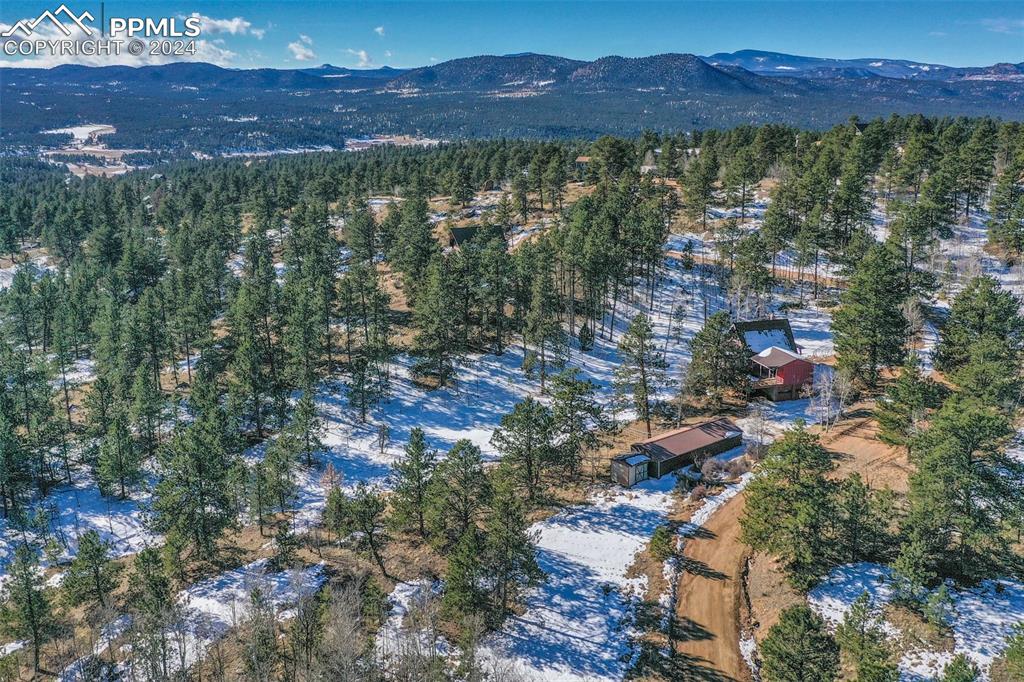 166 Ute Trail