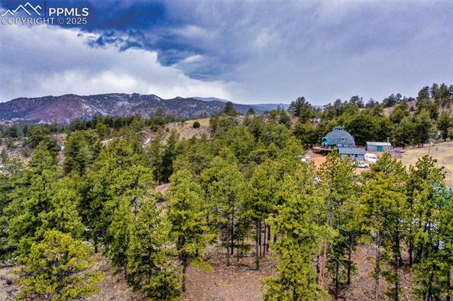 1985 Timber Mesa