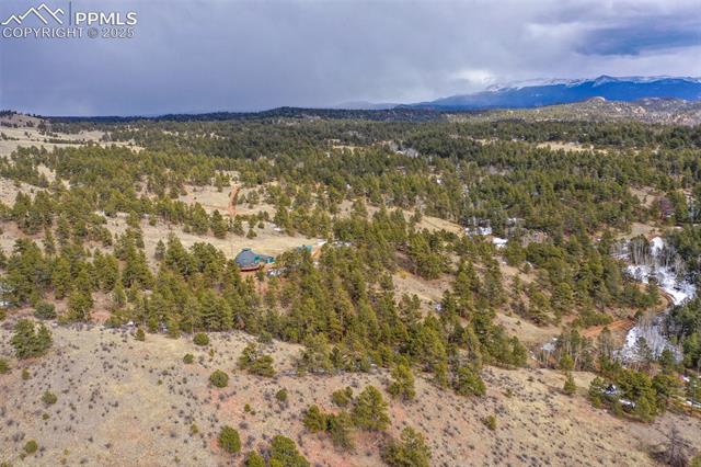 1985 Timber Mesa