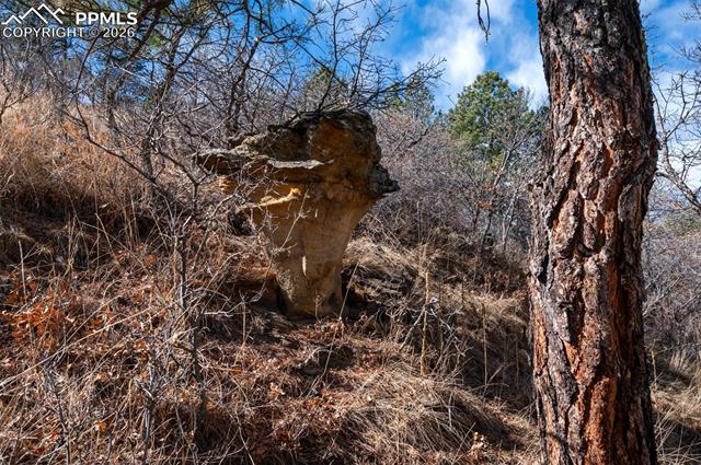 7310 Timbergrove Place