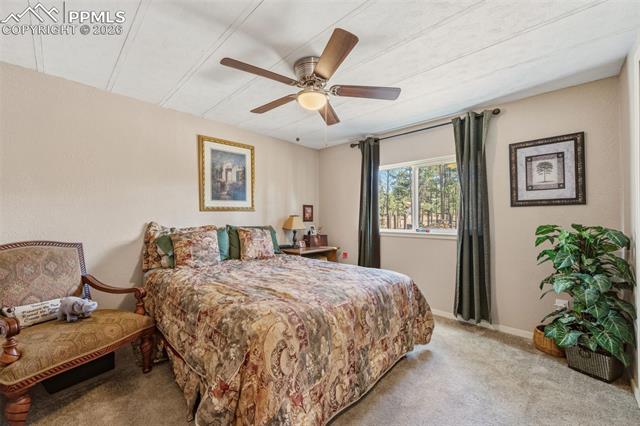 1299 Pikes Peak Drive