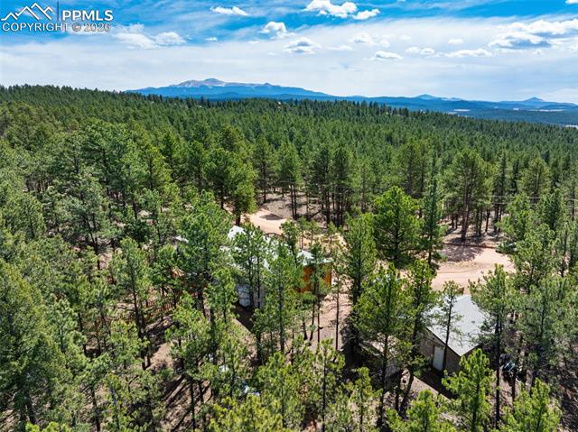 1299 Pikes Peak Drive