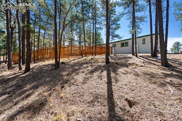 1299 Pikes Peak Drive