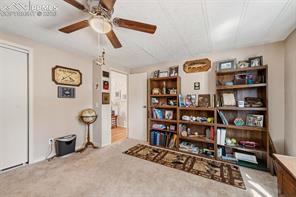 1299 Pikes Peak Drive