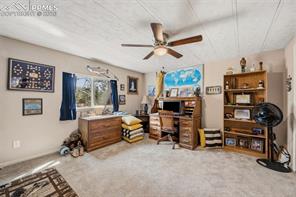 1299 Pikes Peak Drive