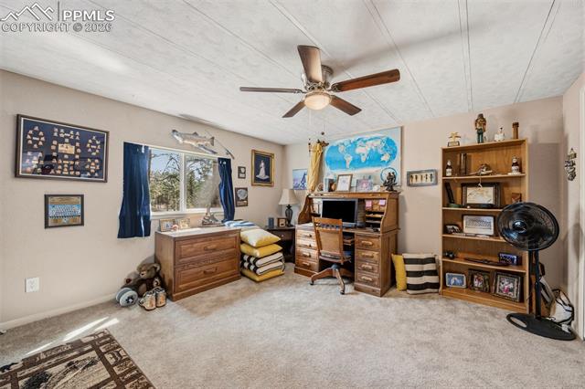 1299 Pikes Peak Drive