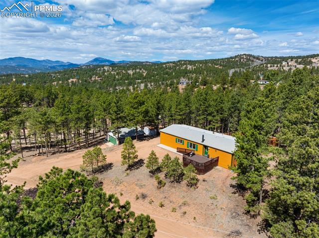 1299 Pikes Peak Drive