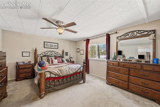 1299 Pikes Peak Drive