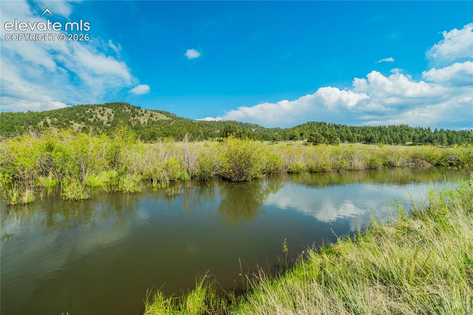 224 Lakeview Forest Heights