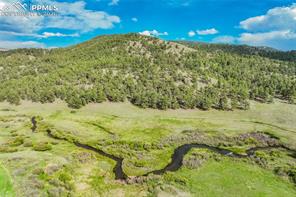 224 Lakeview Forest Heights