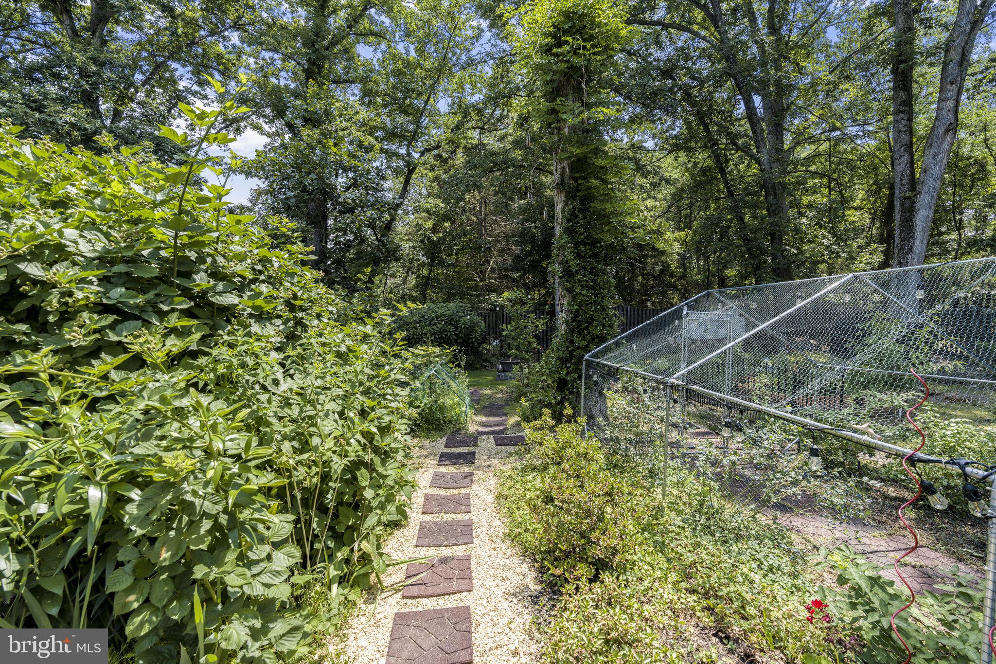 11806 Kimberly Woods Ln