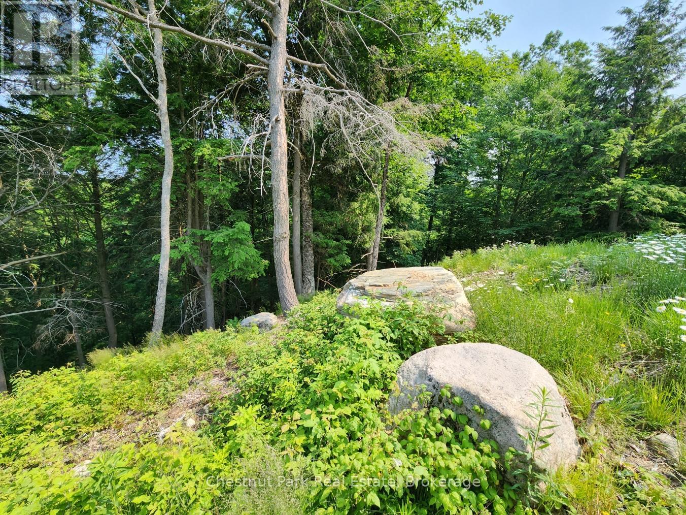 19 OLD HEMLOCK TRAIL