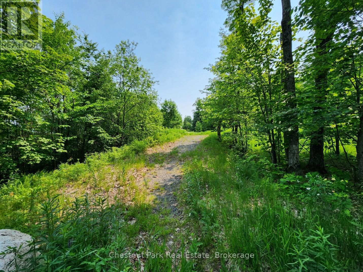 19 OLD HEMLOCK TRAIL