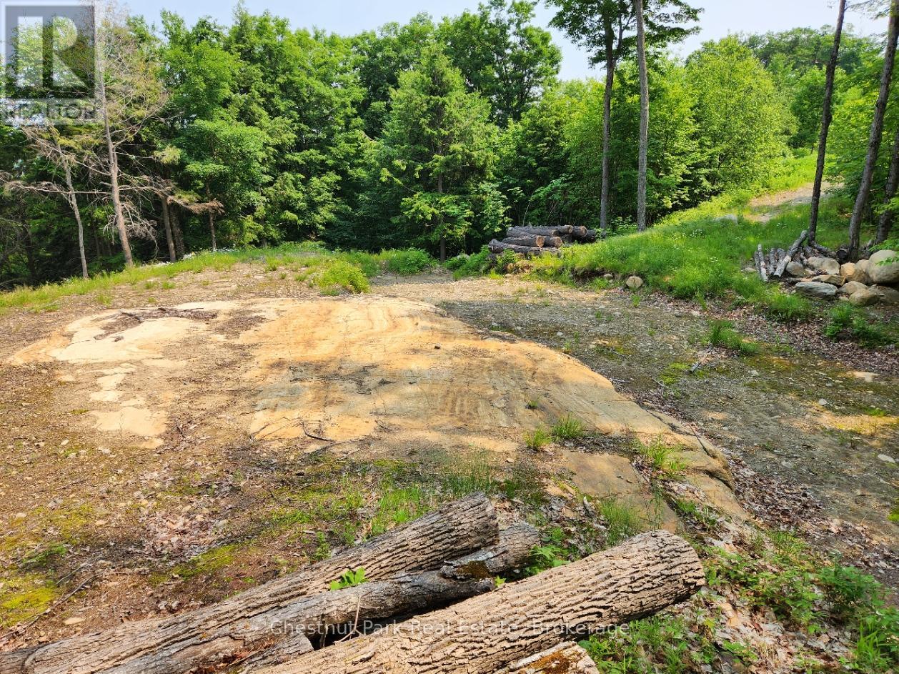 19 OLD HEMLOCK TRAIL