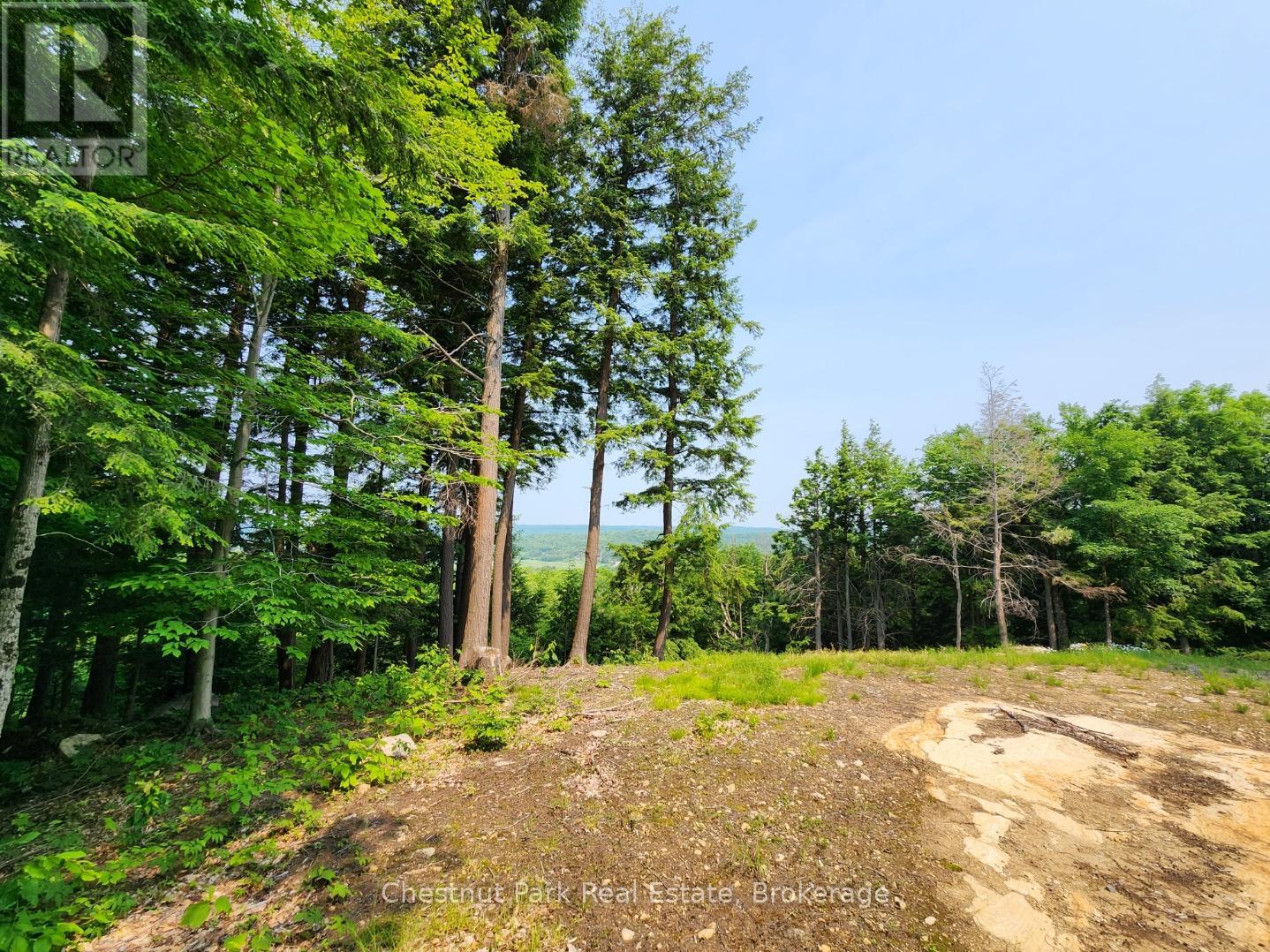 19 OLD HEMLOCK TRAIL