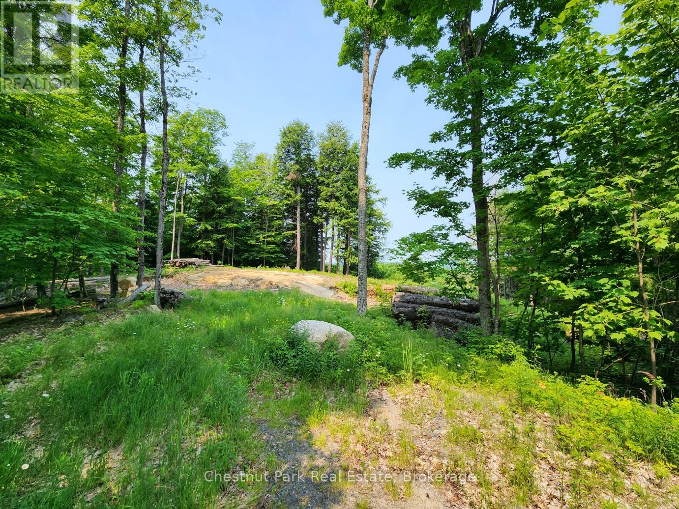 19 OLD HEMLOCK TRAIL