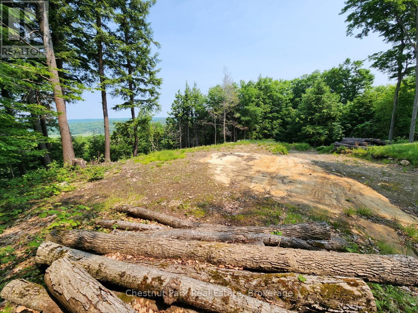 19 OLD HEMLOCK TRAIL