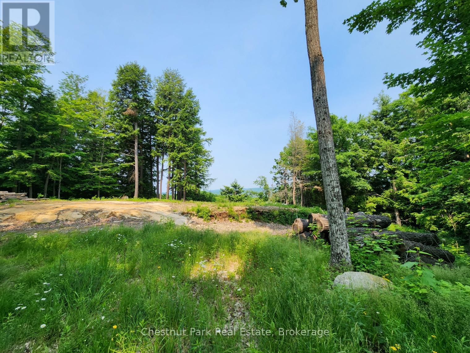 19 OLD HEMLOCK TRAIL