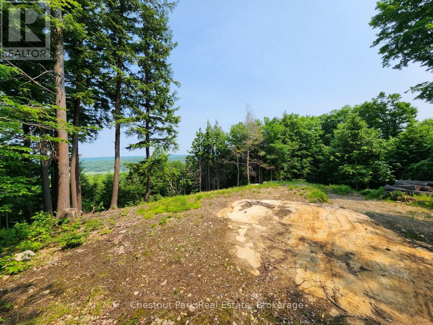 19 OLD HEMLOCK TRAIL