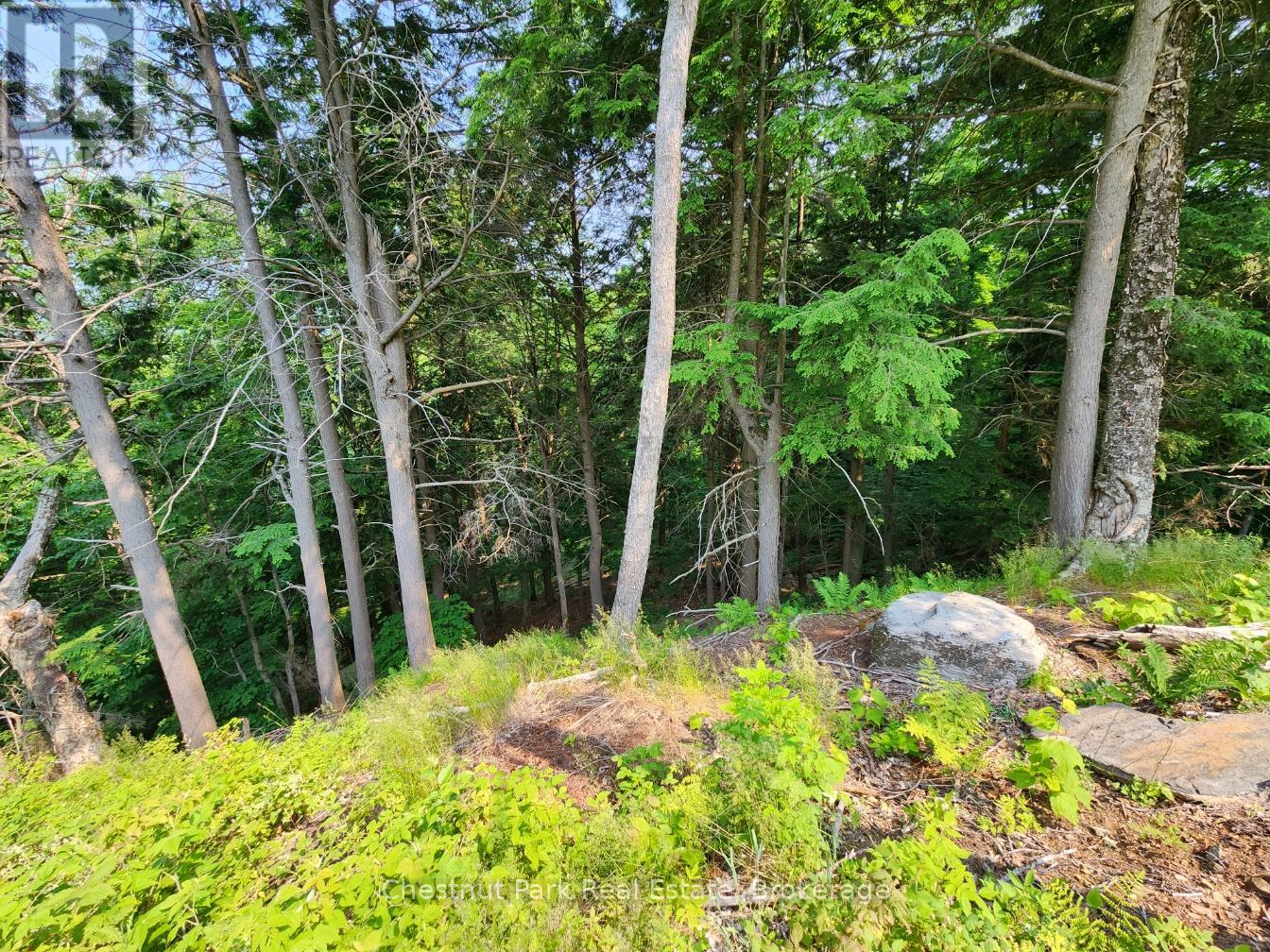 19 OLD HEMLOCK TRAIL