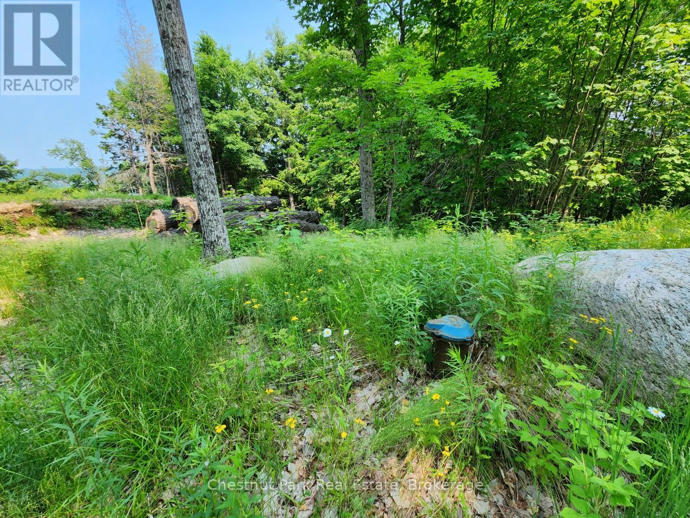 19 OLD HEMLOCK TRAIL