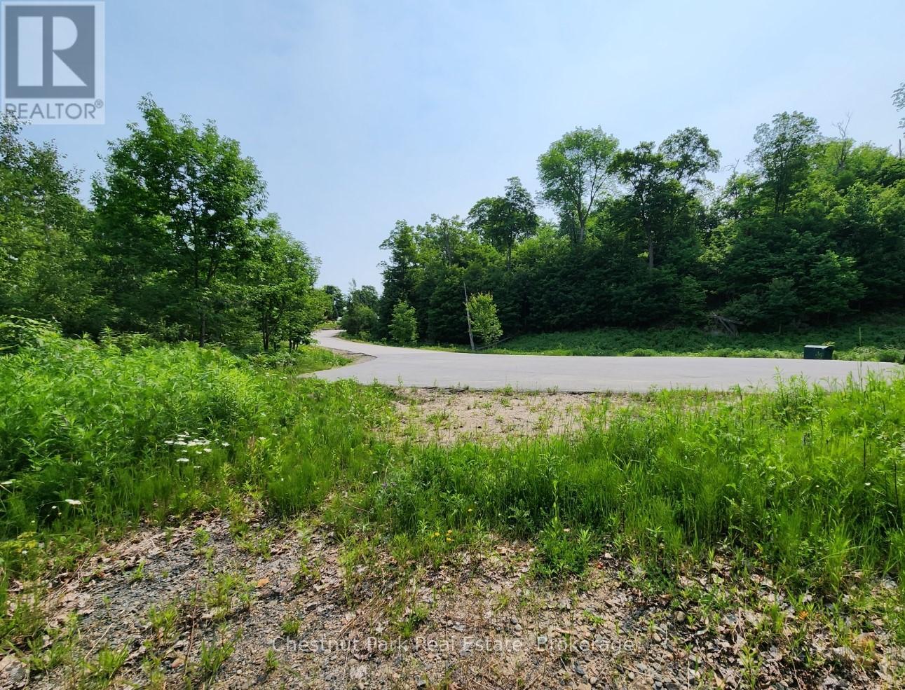 19 OLD HEMLOCK TRAIL