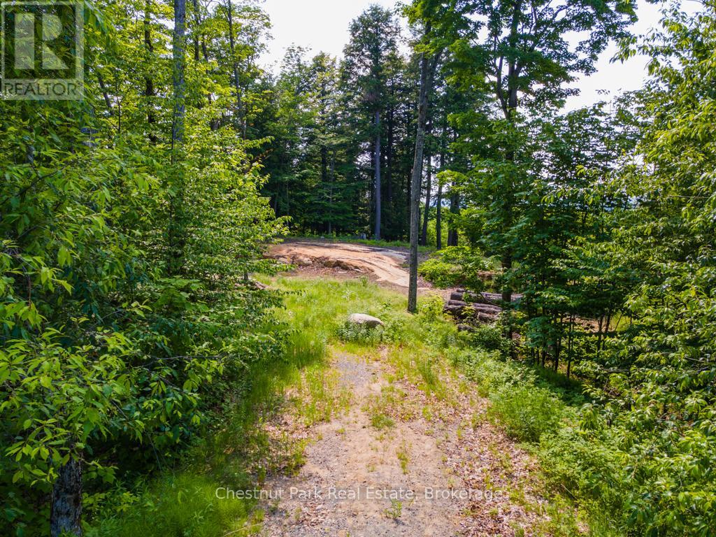 19 OLD HEMLOCK TRAIL