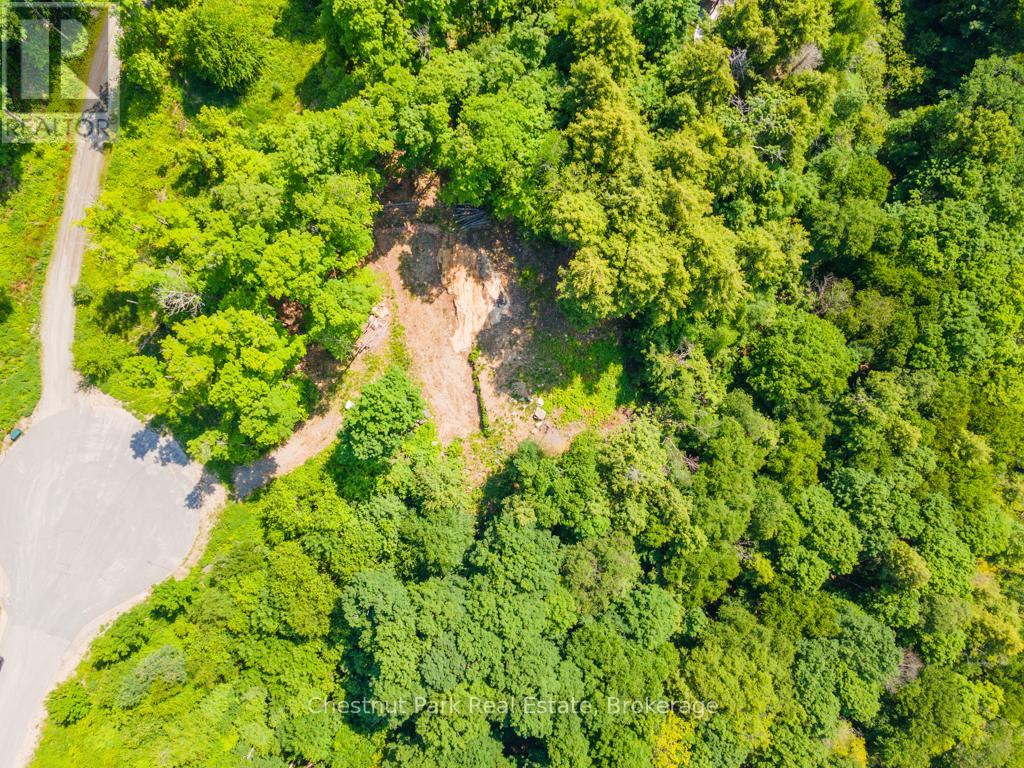 19 OLD HEMLOCK TRAIL