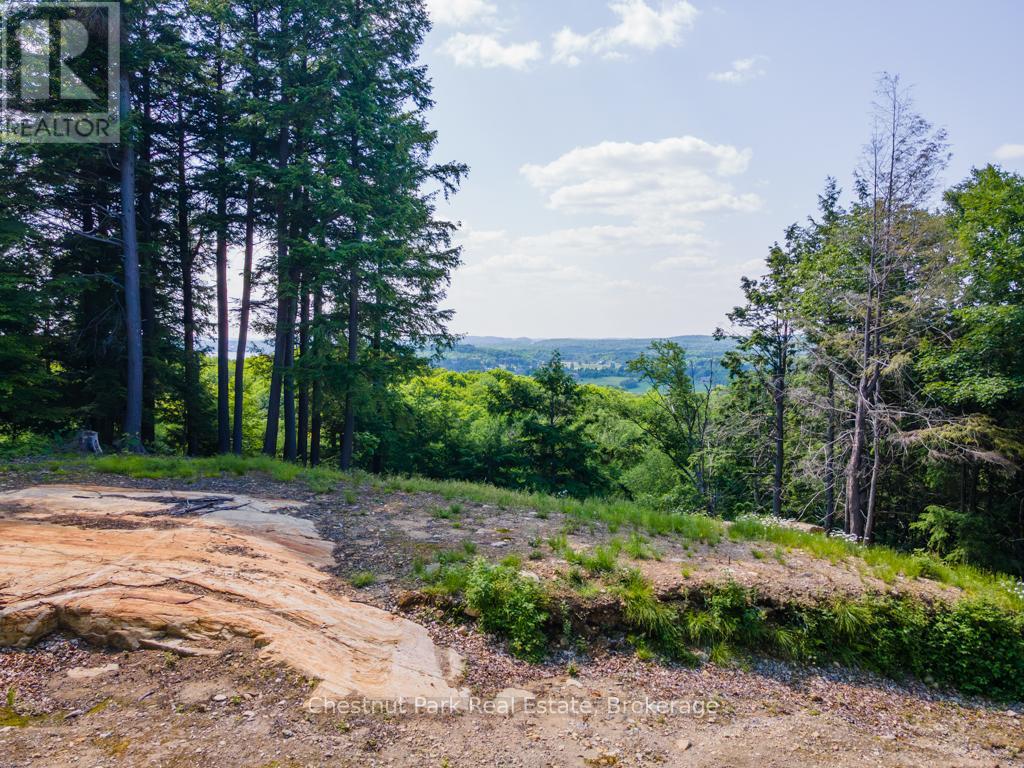 19 OLD HEMLOCK TRAIL