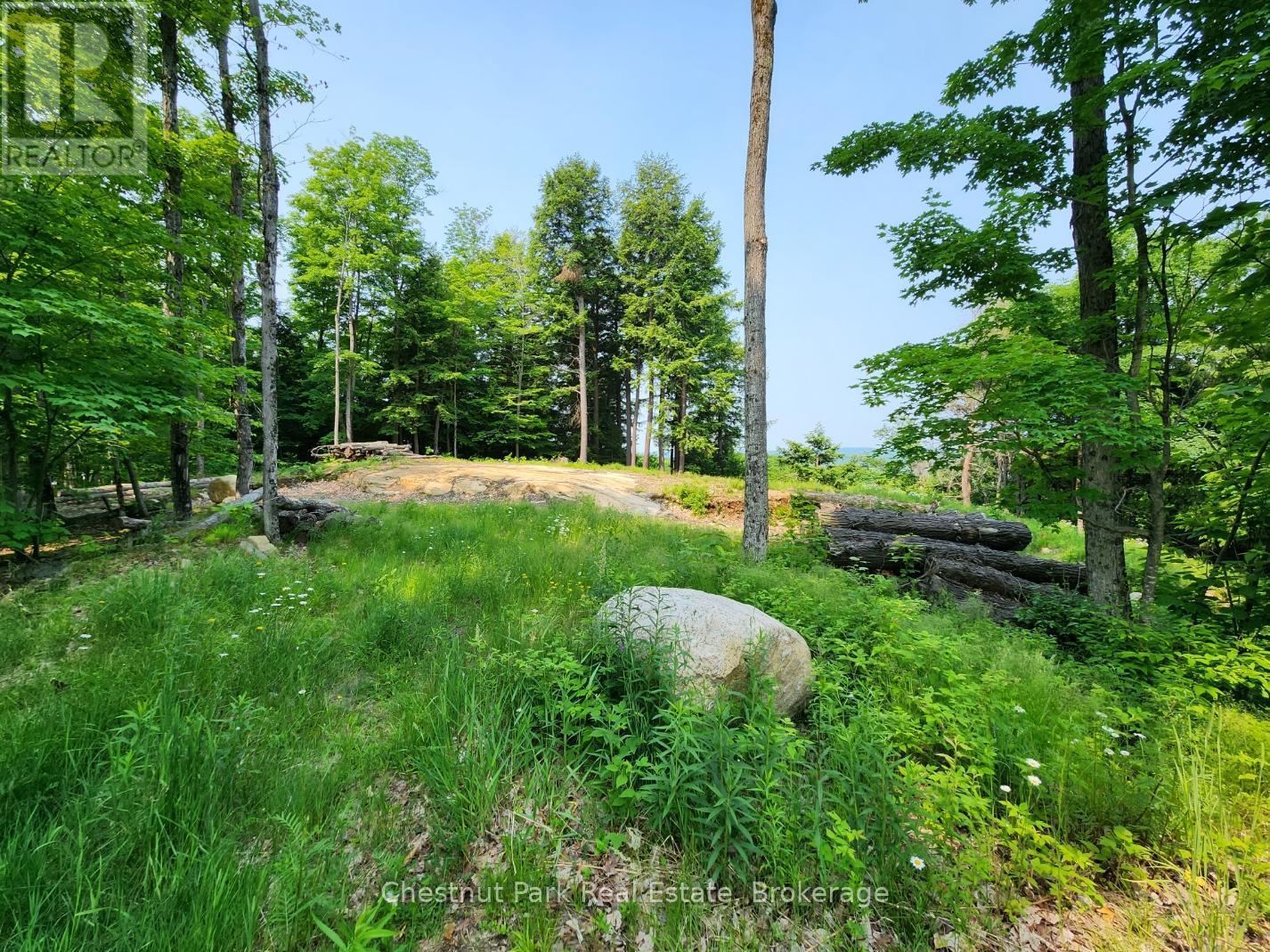 19 OLD HEMLOCK TRAIL