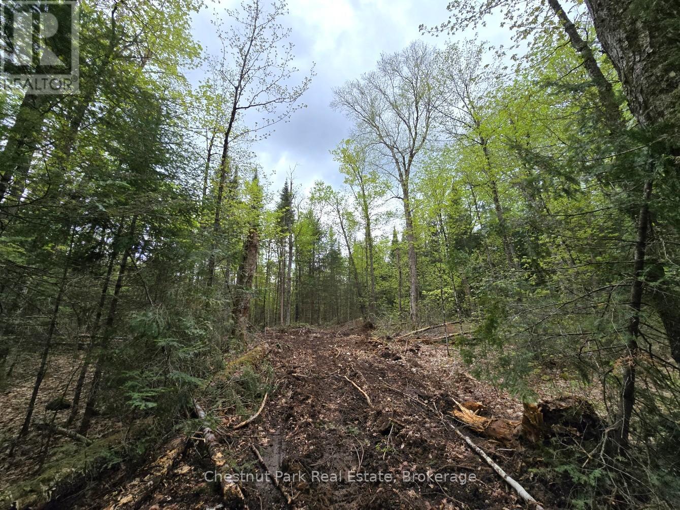 PART 6 ECHO RIDGE ROAD
