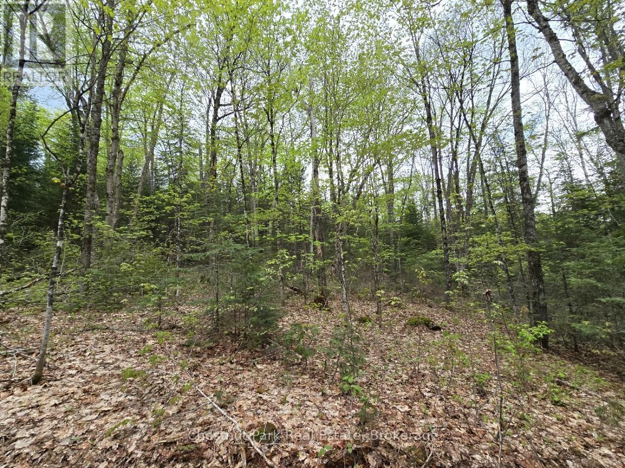 PART 6 ECHO RIDGE ROAD