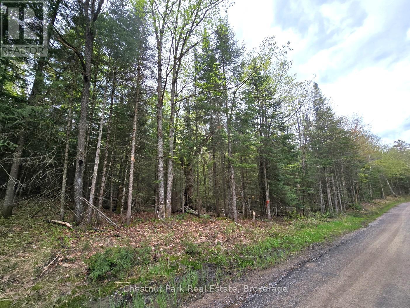 PART 6 ECHO RIDGE ROAD