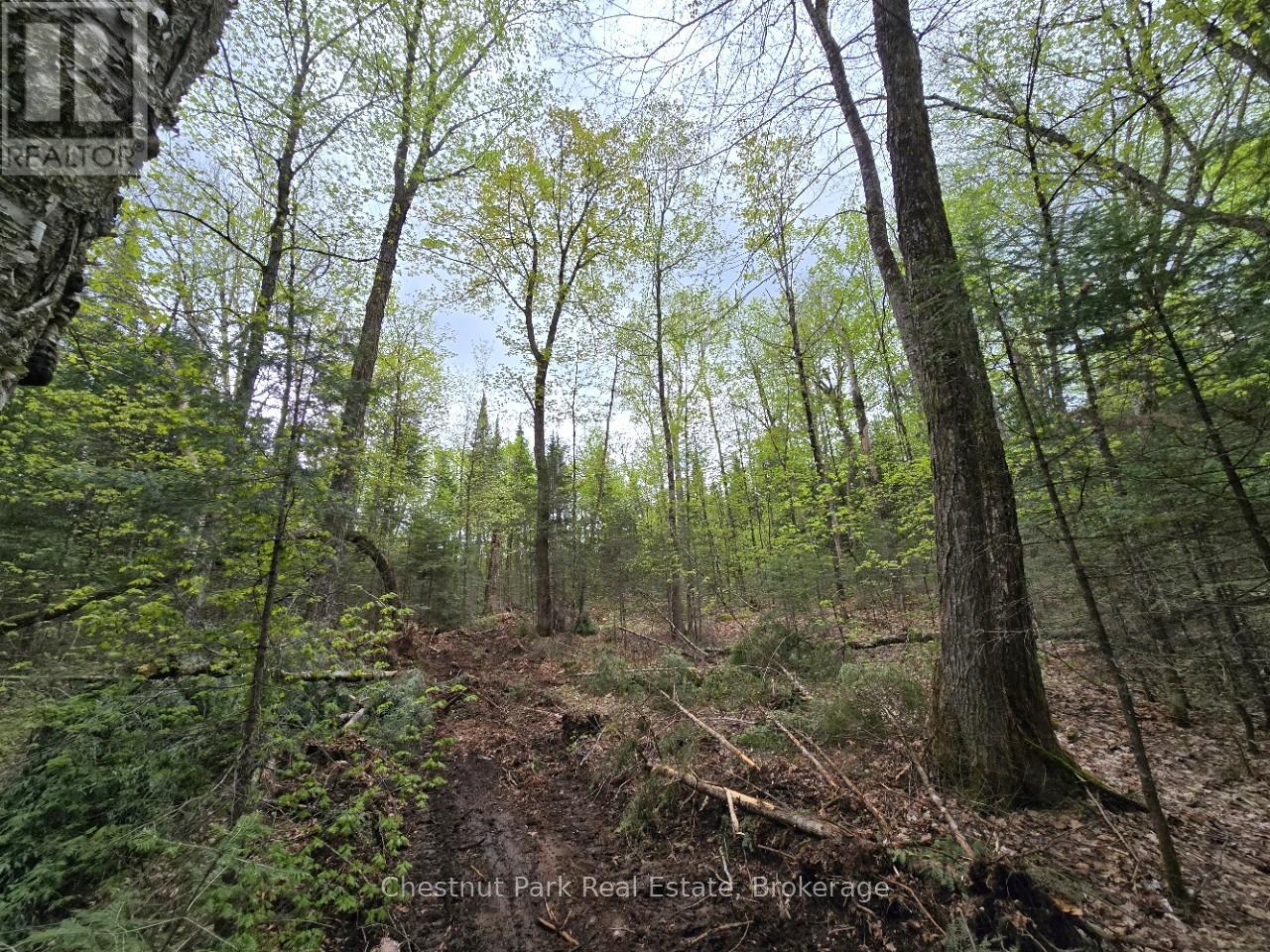 PART 6 ECHO RIDGE ROAD