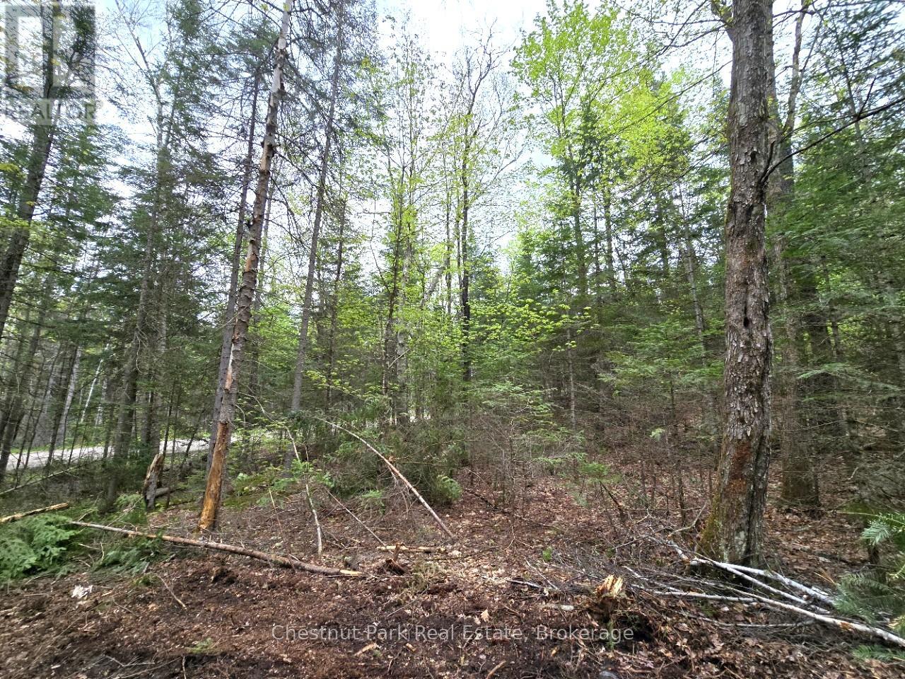 PART 6 ECHO RIDGE ROAD