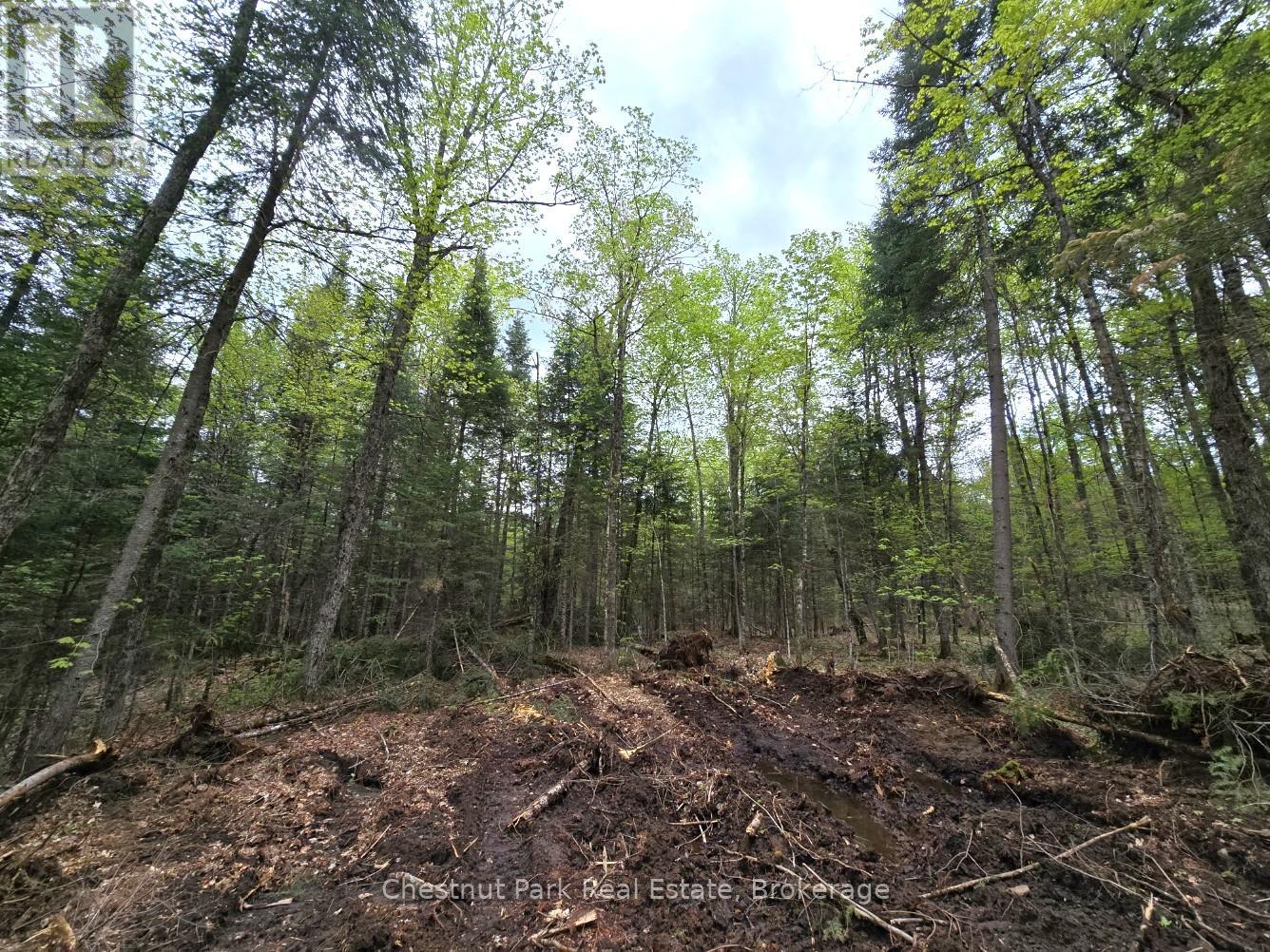 PART 6 ECHO RIDGE ROAD