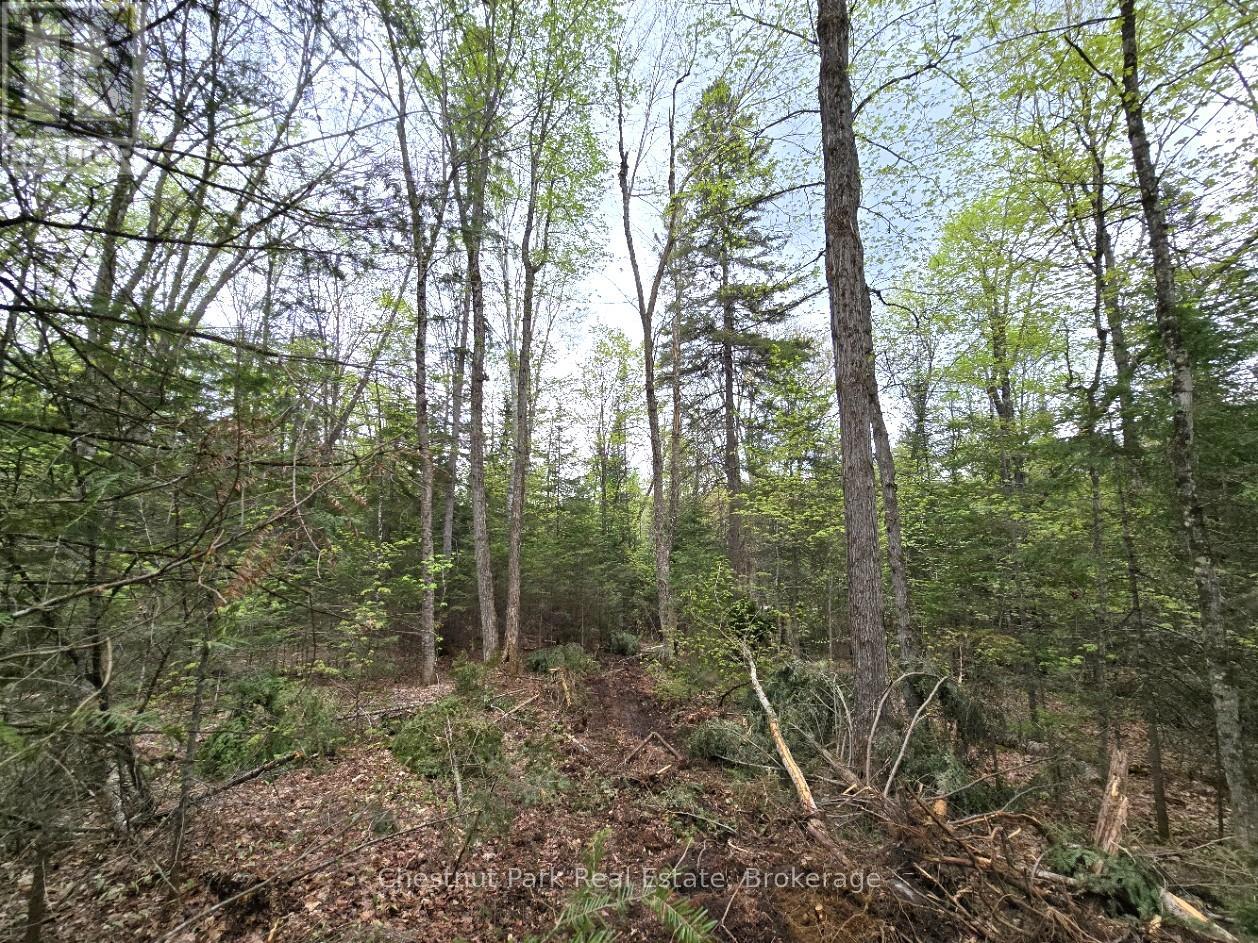 PART 6 ECHO RIDGE ROAD